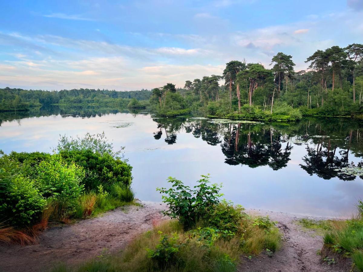 Chalet Natuurrijk オーイステルウェイク エクステリア 写真